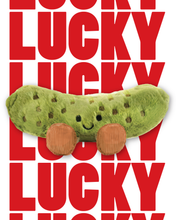 Load image into Gallery viewer, Lucky Dip Diner